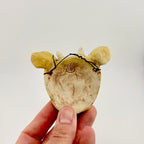Little Spirit Mask 14