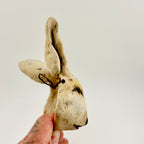 Little Spirit Mask 17